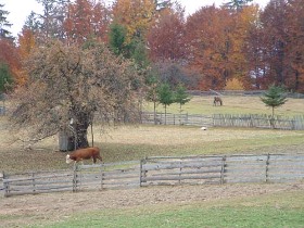 vakáció, turizmus, ajánlatok